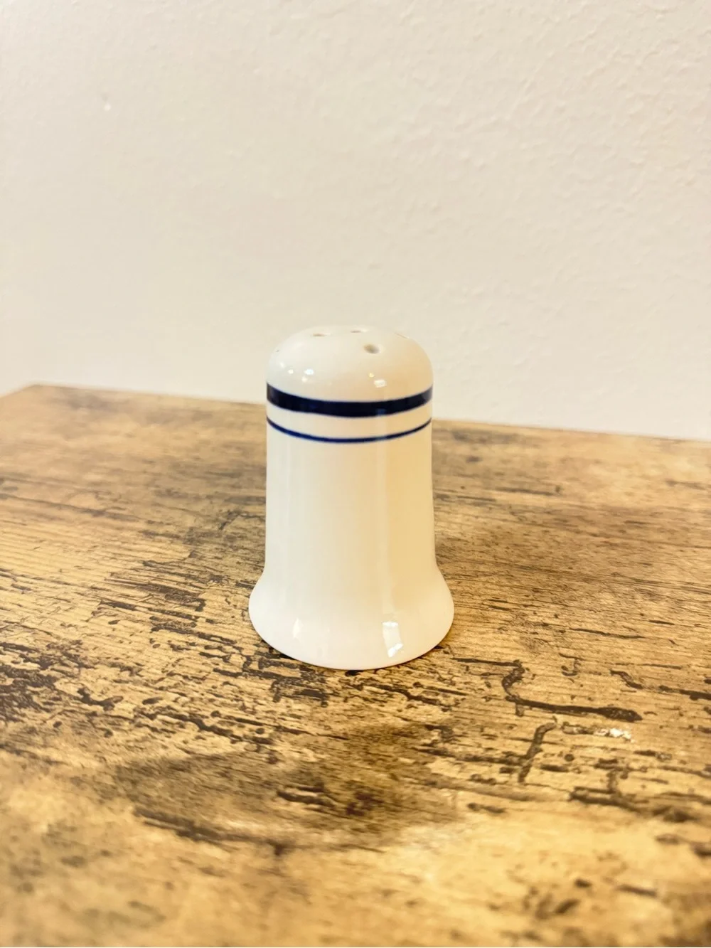 Blue Stripe Stoneware Salt & Pepper Shakers | Set of 2